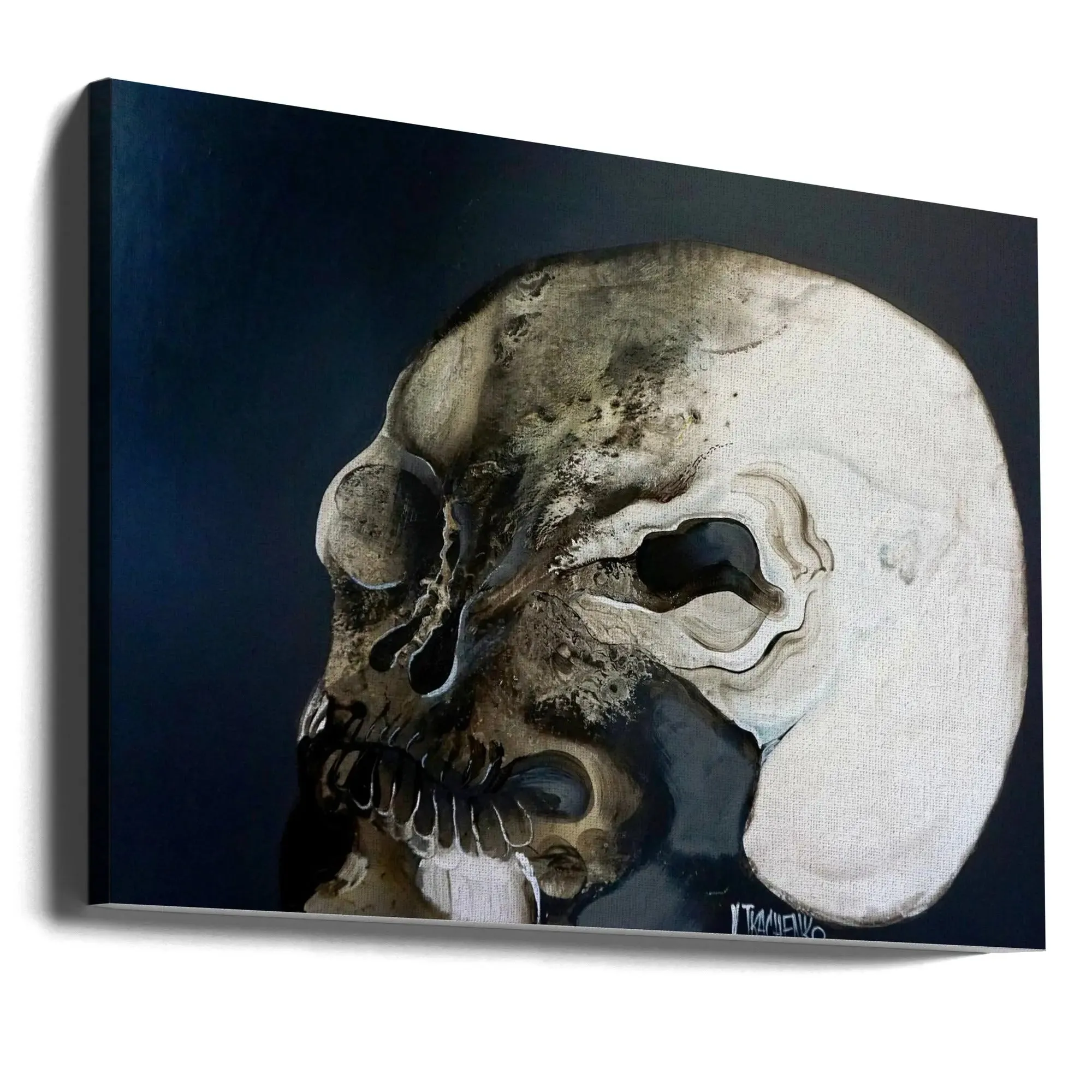 13 - Stretched Canvas, Poster or Fine Art Print