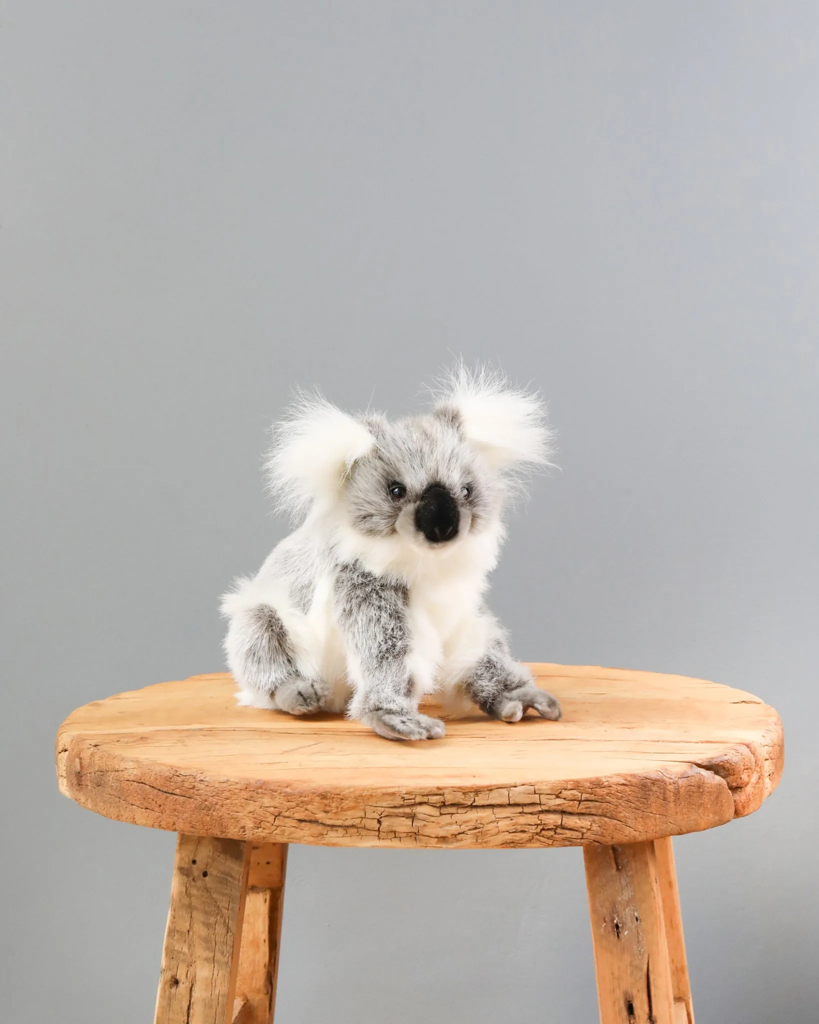 Baby Koala Stuffed Animal