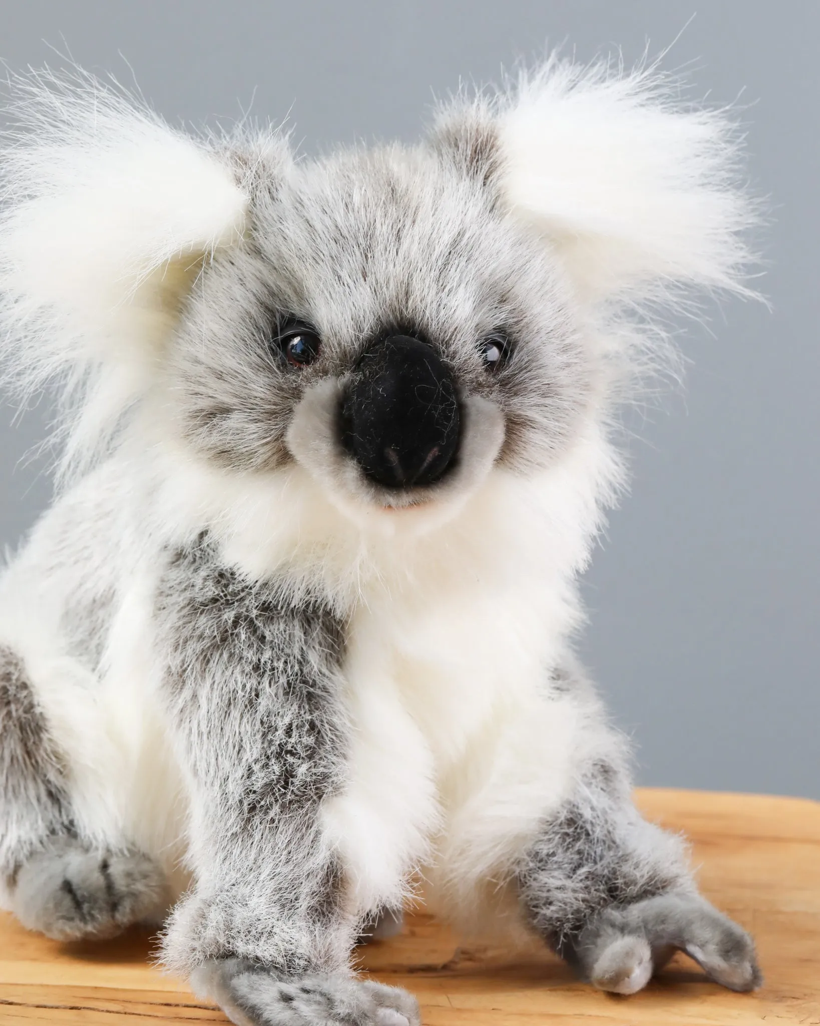 Baby Koala Stuffed Animal