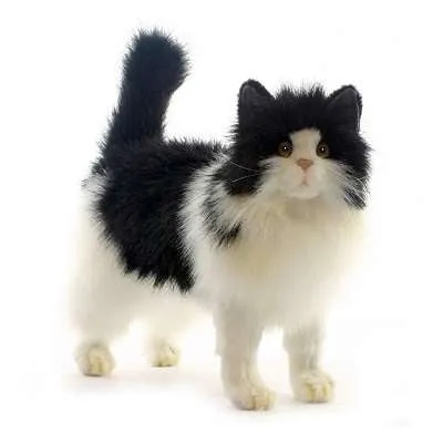 Black & White Cat Stuffed Animal