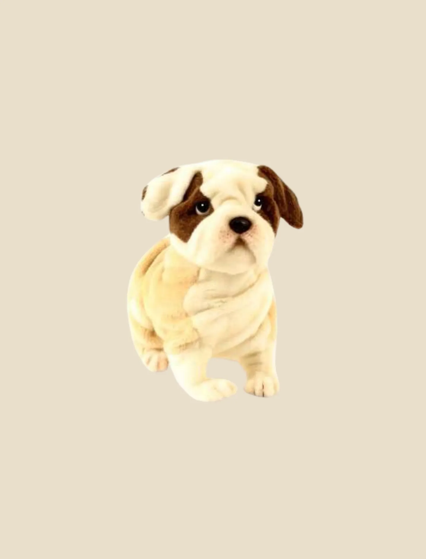 Bulldog Stuffed Animal