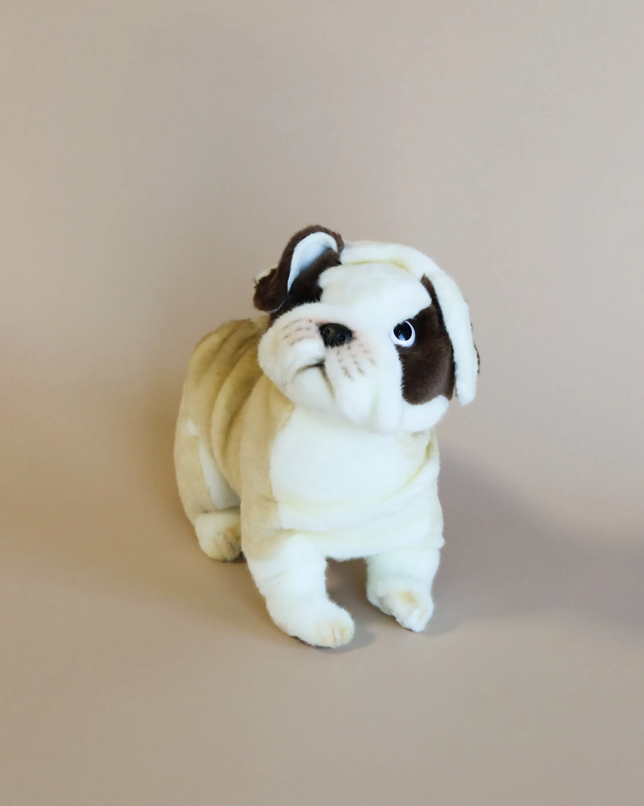 Bulldog Stuffed Animal