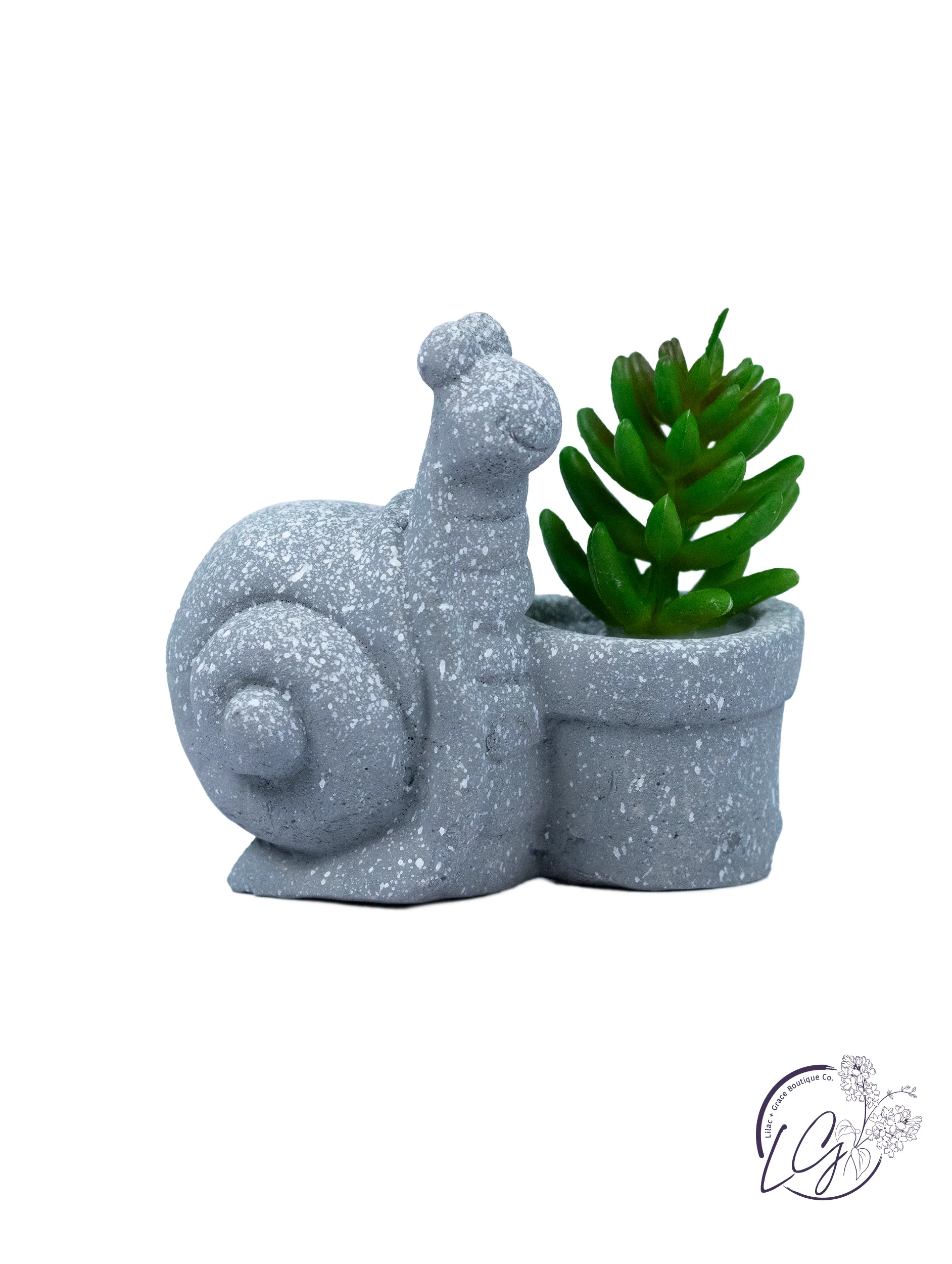 Cement Animal Pot with Succulent