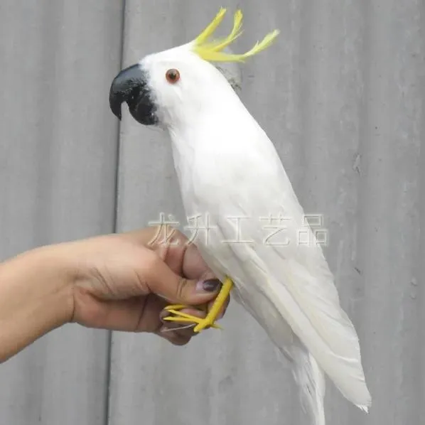 Cockatoo Plush Toy