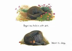 Diary of a Wombat (Board Book)