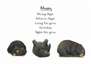 Diary of a Wombat (Board Book)