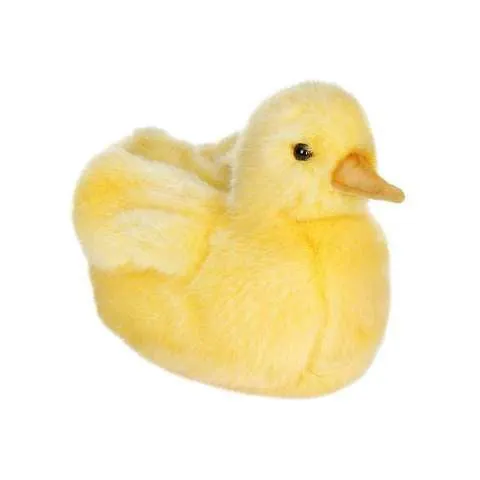 Duck Chick Stuffed Animal