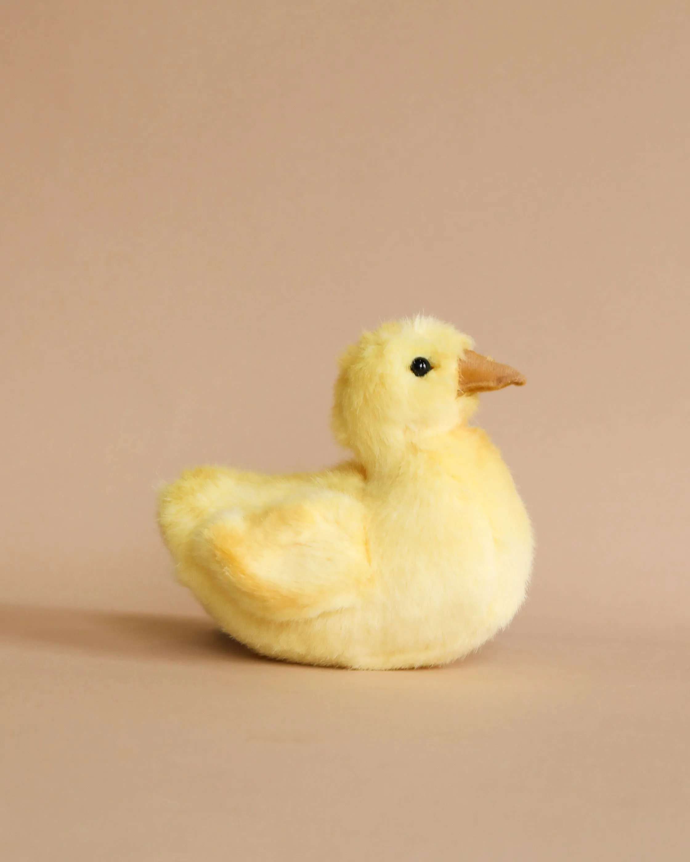 Duck Chick Stuffed Animal