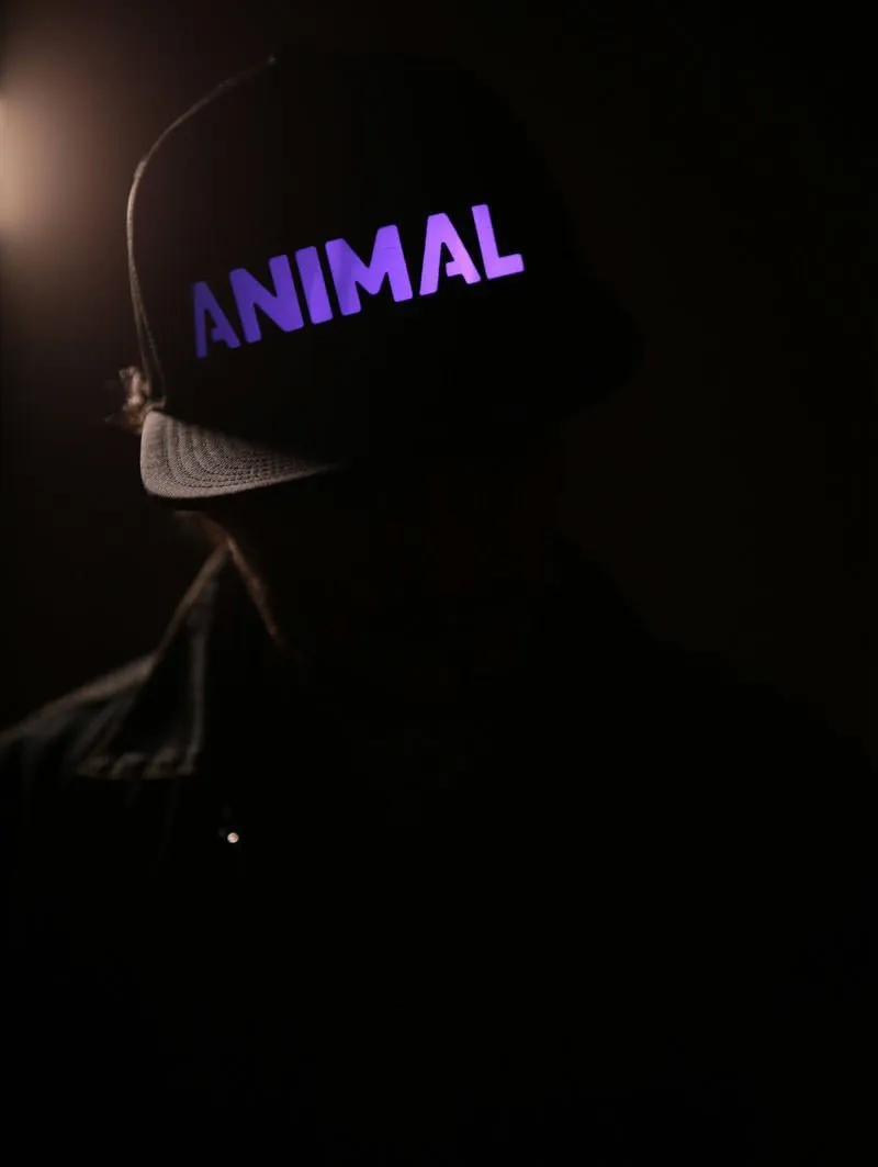 LED Animal Snapback