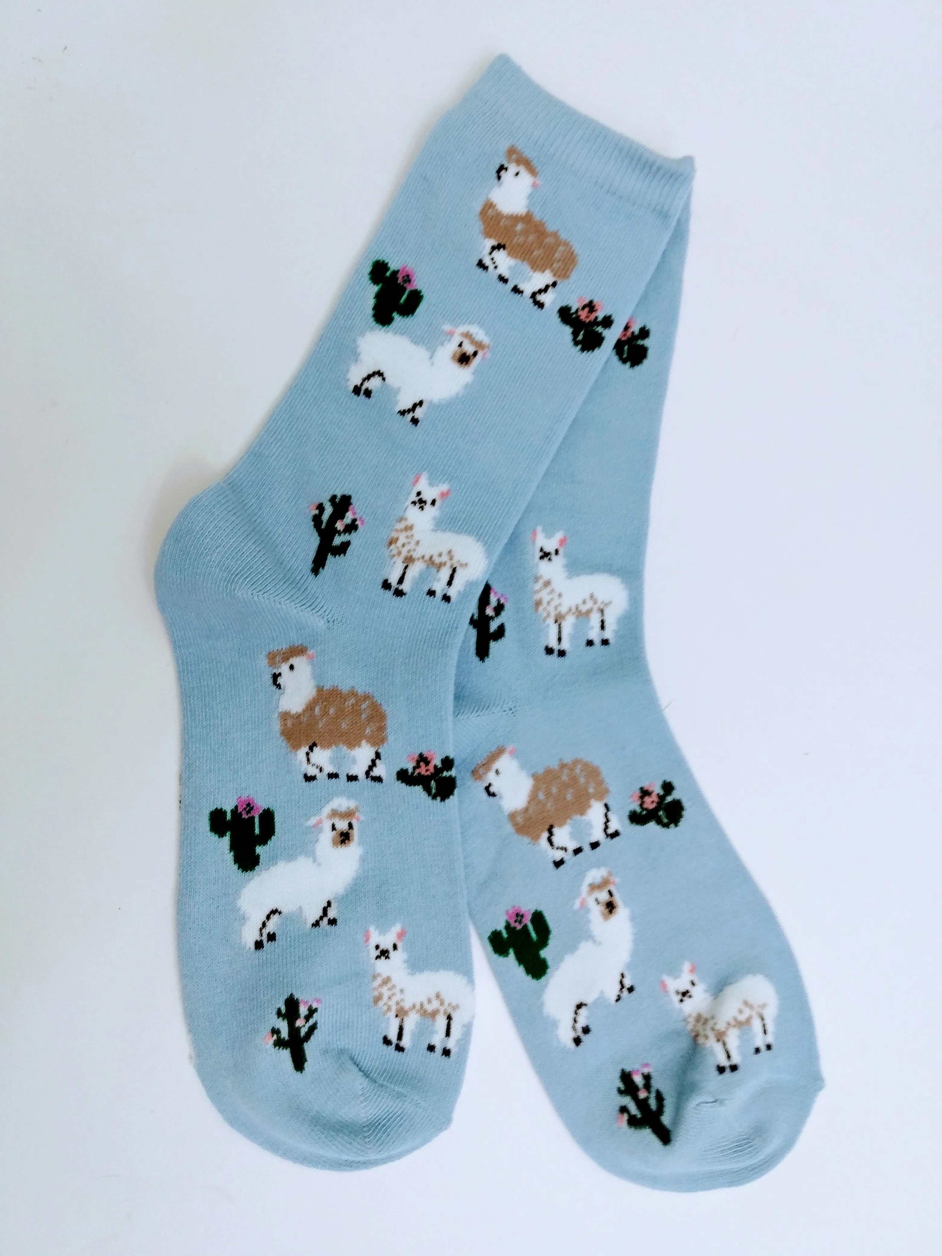 Llama Alpaca w/ Cactus Crew Socks