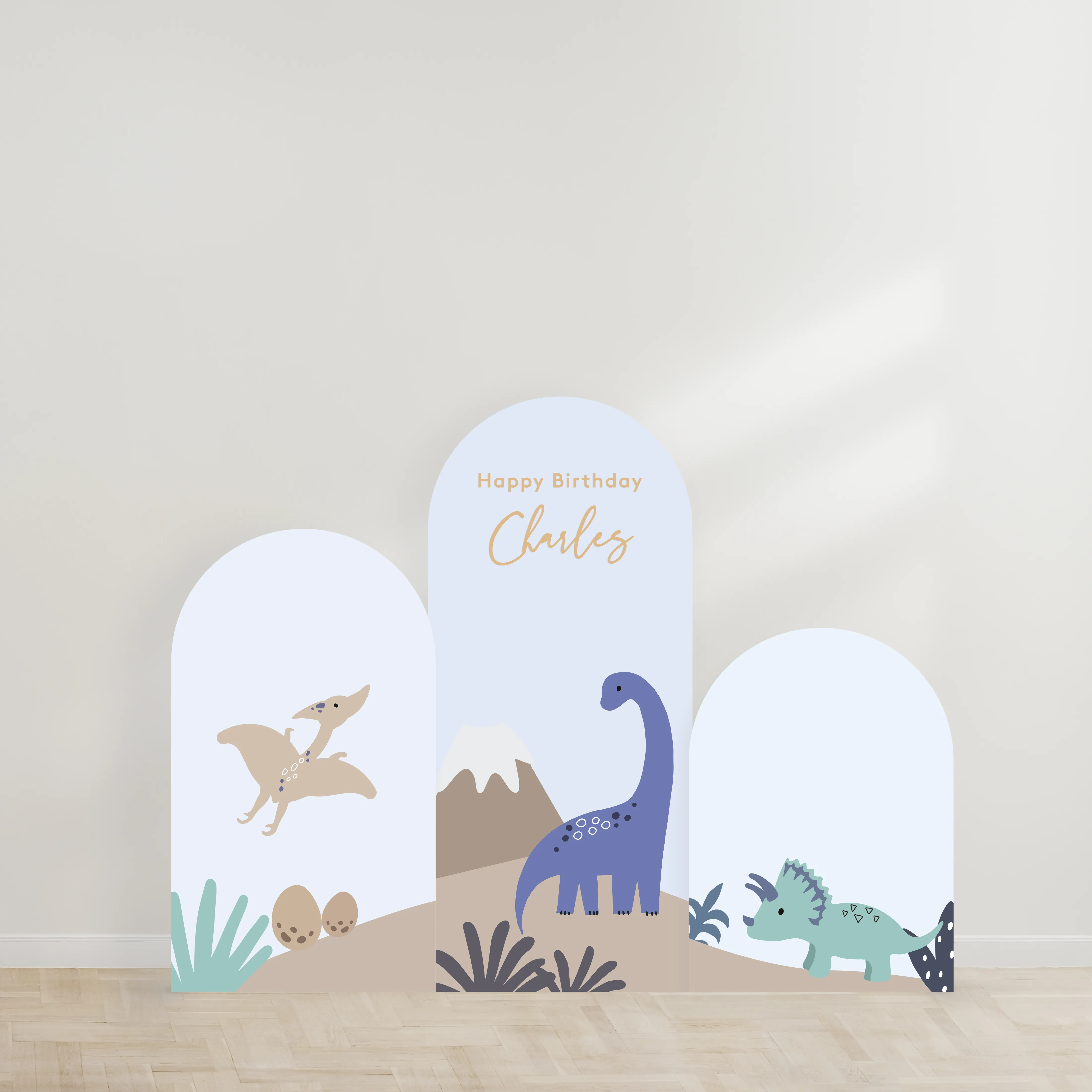 Trio Dome Party Backdrop Board -Dinosaur